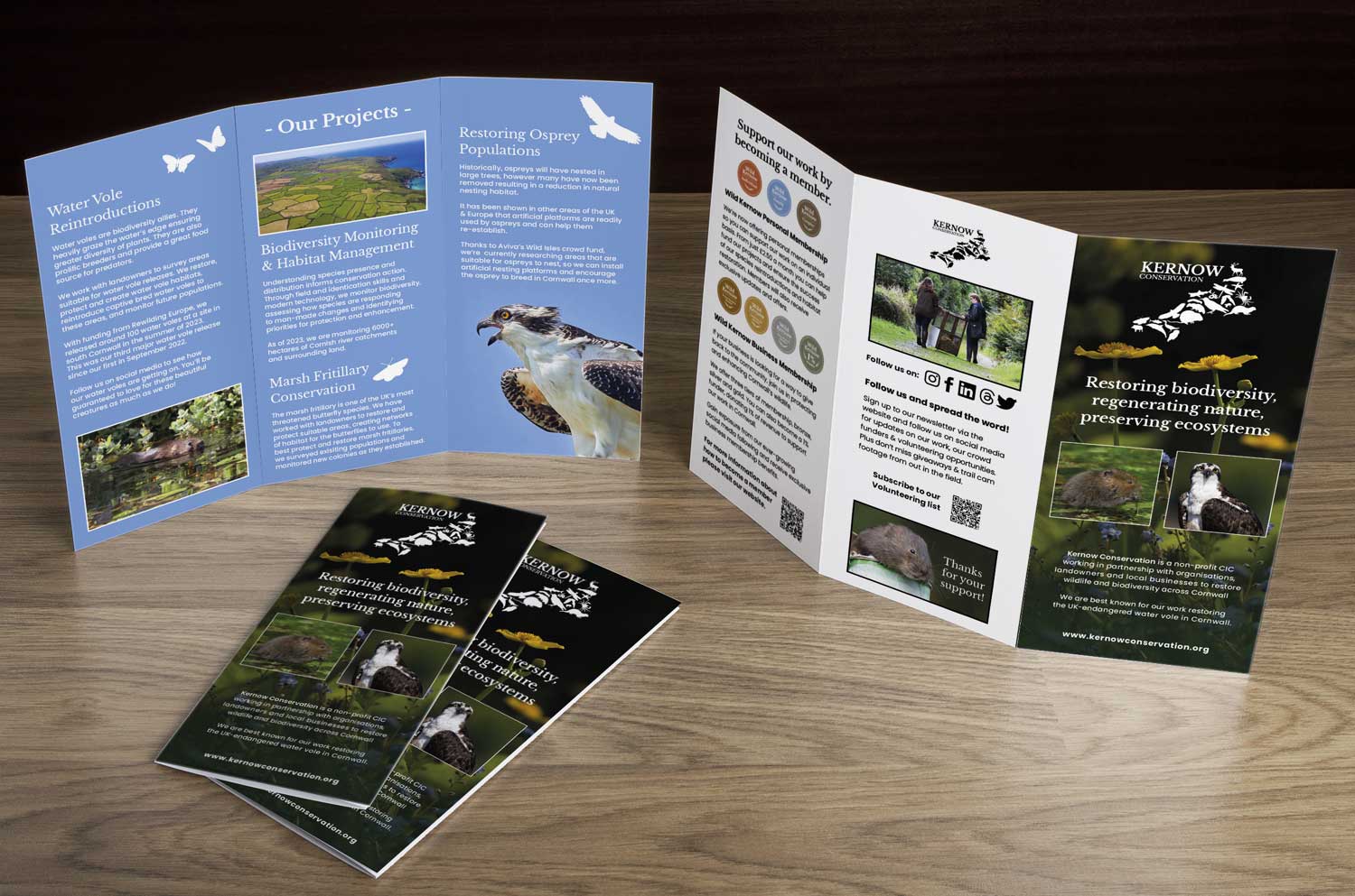 Tri fold leaflets displaying front and back covers