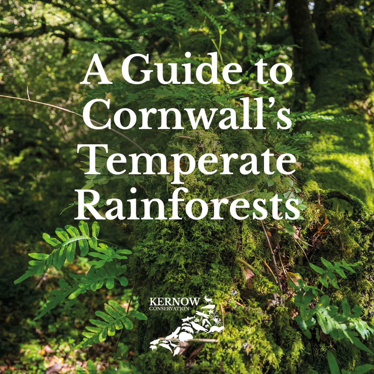 Image for the cover of a guide by Kernow Conservation