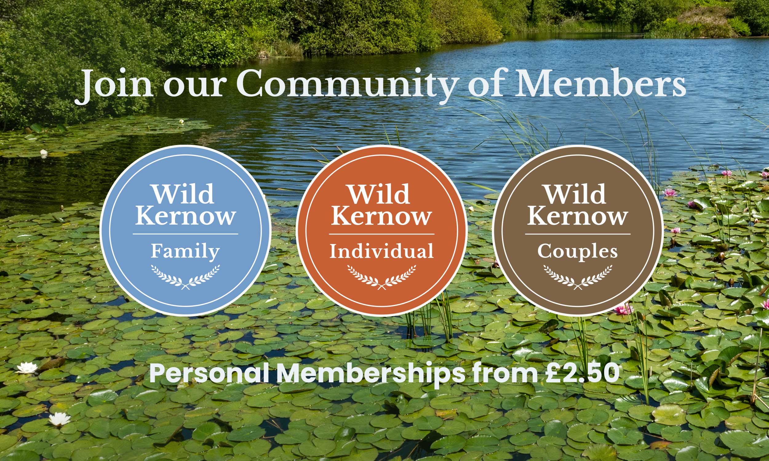 Digital asset featuring membership designs