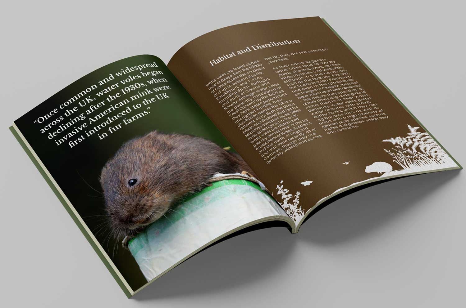 Water-Vole-inside