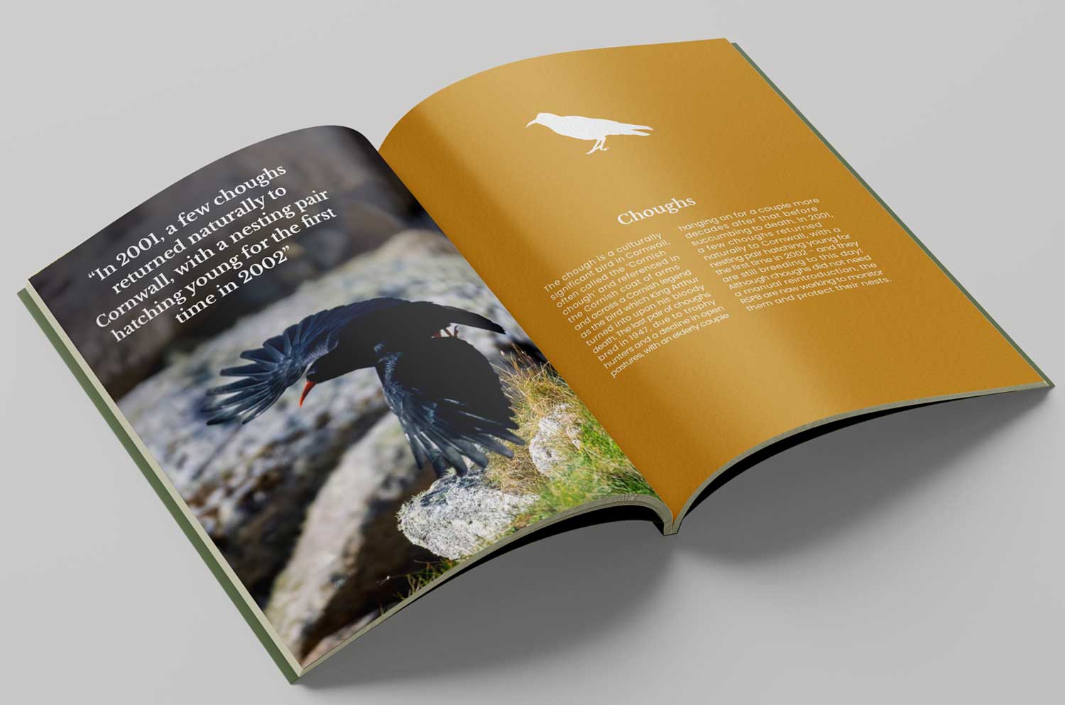 Inside pages of Rewilding Cornwall booklet created for Kernow Conservation